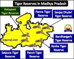 Tiger Reserves in MP Map