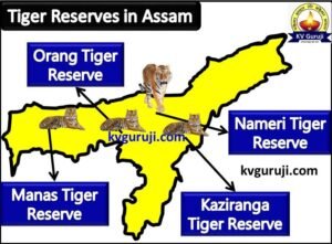 Tiger Reserves in Assam Map