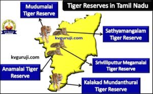 Tiger Reserves in Tamil Nadu Map